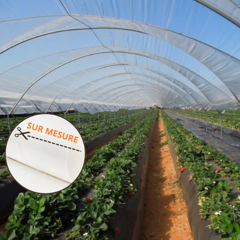 Film de serre Professionnel Super Cristal 200µ - à la coupe