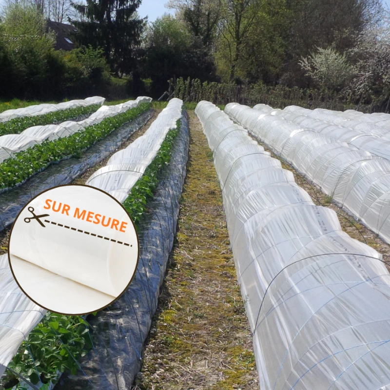 Film mini-tunnel diffusant 80µ - Largeur 2,20m 