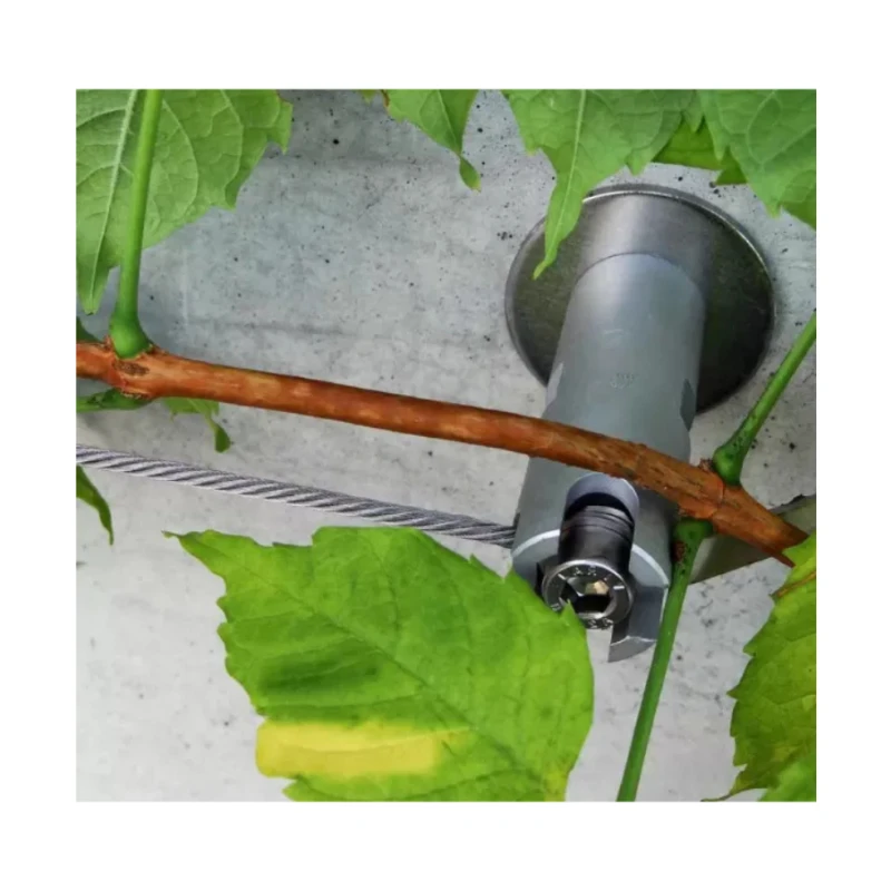 Kit de câble en inox pour végétalisation murale - Végécâble