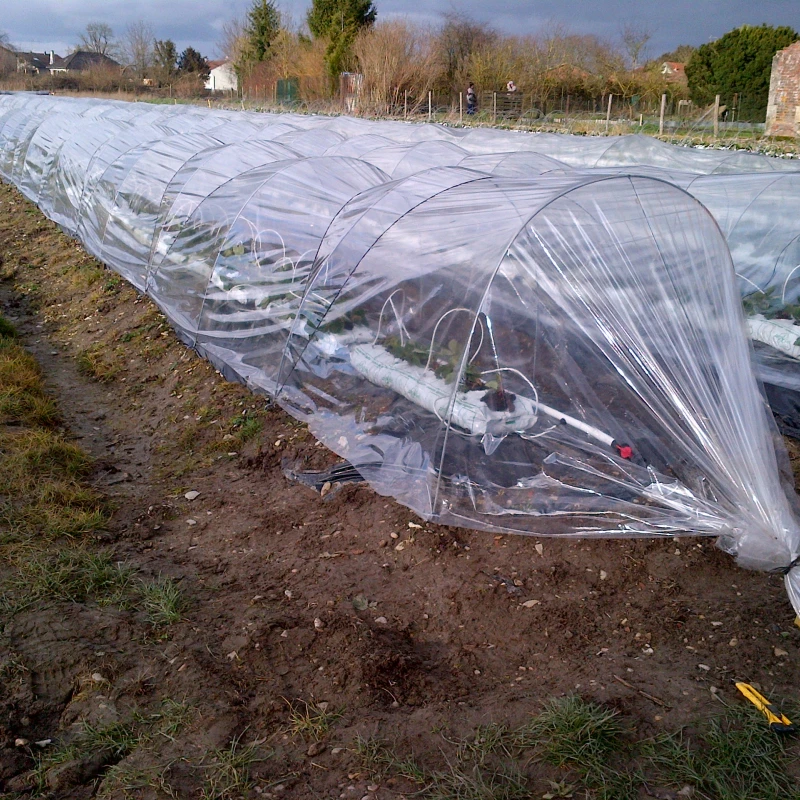 Echantillon gratuit film mini tunnel et serre - 20x10cm