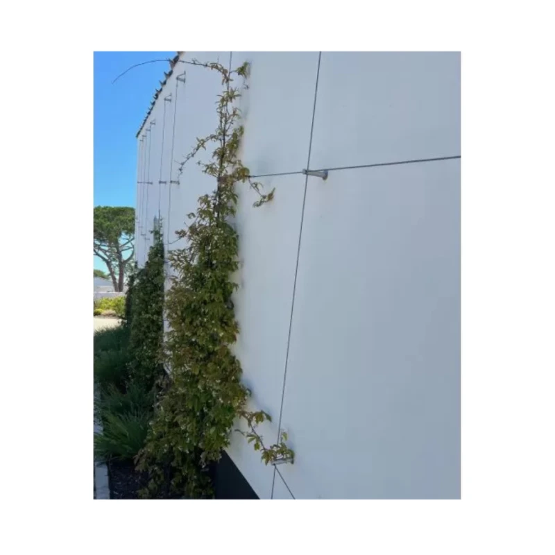 Kit de câble en inox pour végétalisation murale - Végécâble