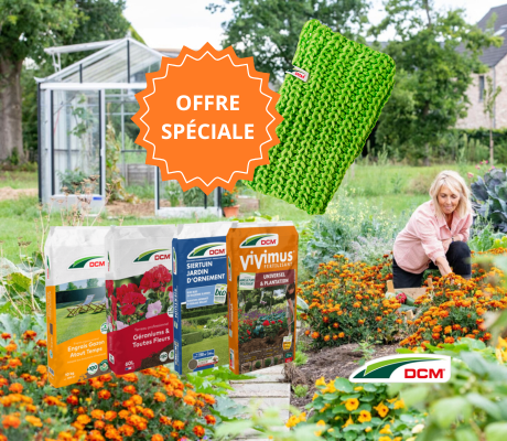 OFFRE SPÉCIALE POP IN DCM