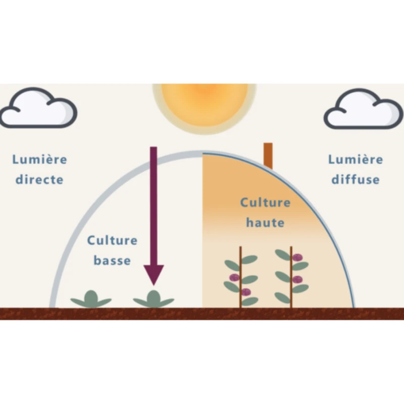 Echantillon gratuit film mini tunnel et serre - 20x10cm