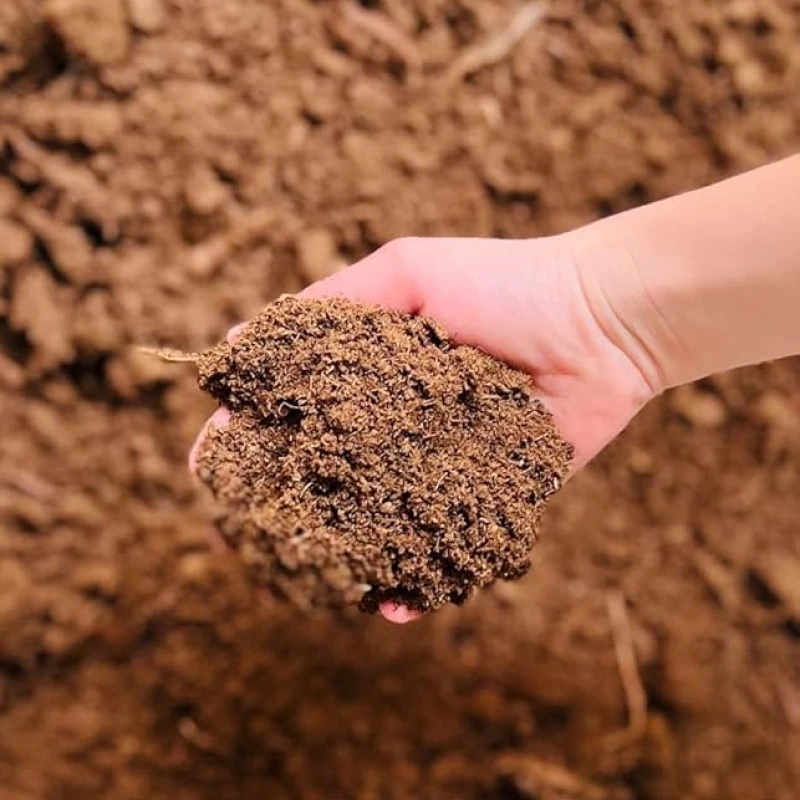 Tourbe blonde compressée - 150L