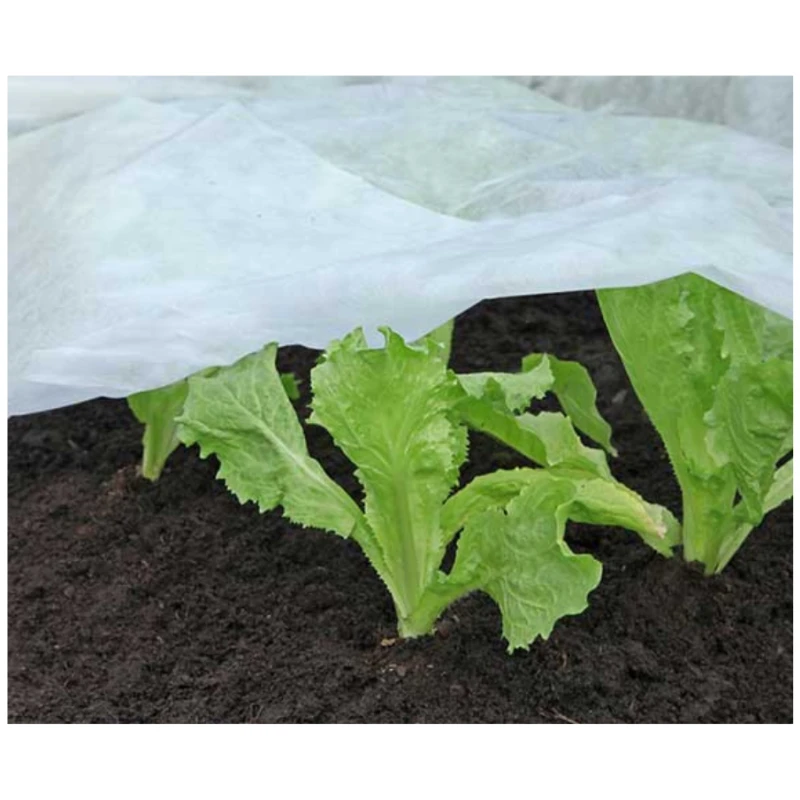 Voile d'hivernage 30gr/m² - Rouleau de 250m