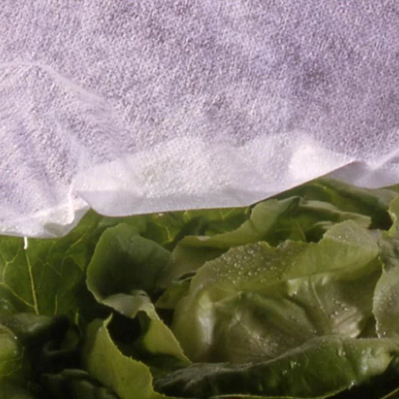 Voile d'hivernage 30gr/m² - Rouleau de 250m