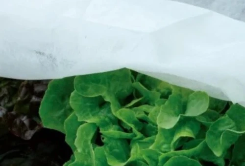 Bandeau Slider voile protection