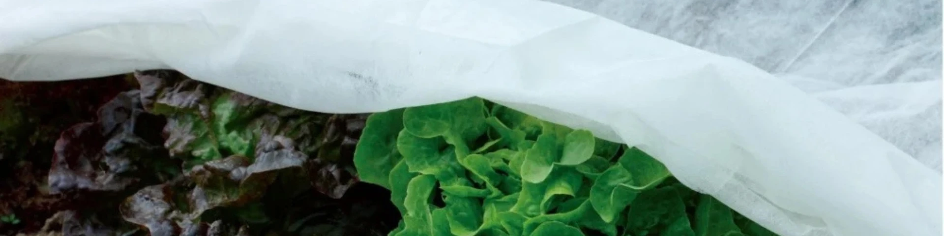 Bandeau Slider voile protection