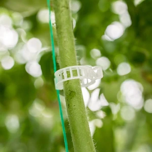 Clip biodégradable pour tomates - Ø22mm