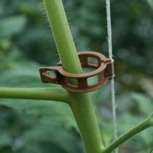 Clip marron pour tomates - Ø 23mm