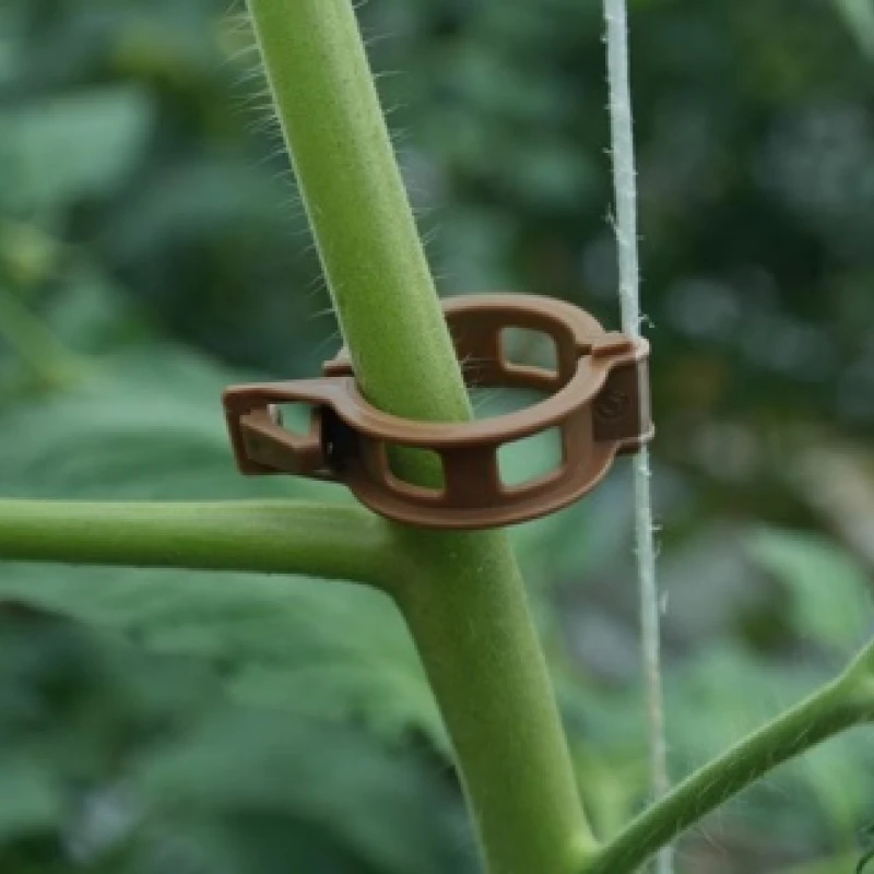 Clip marron pour tomates - Ø 23mm