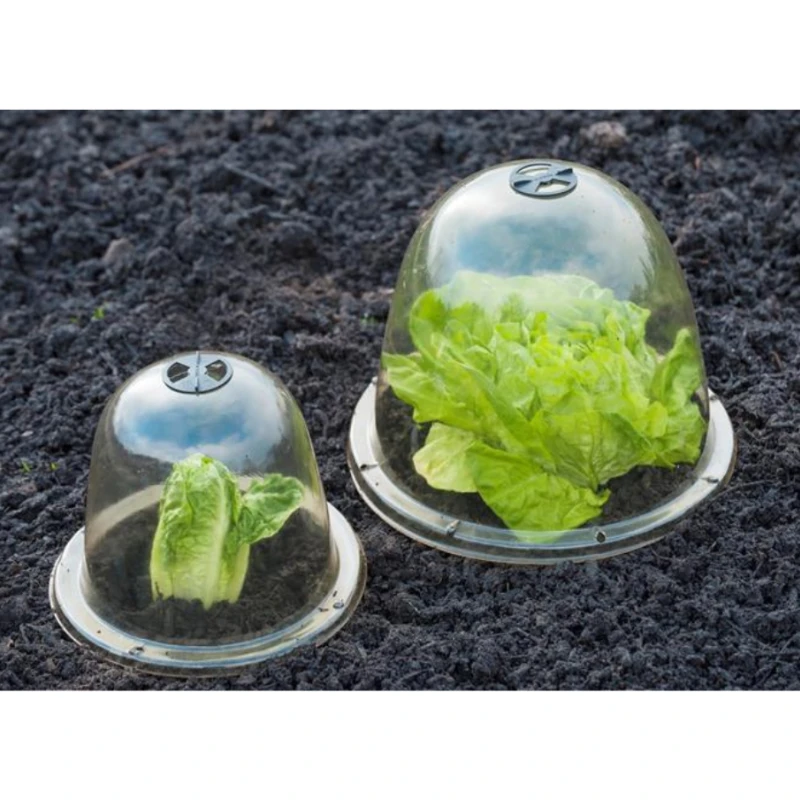 Cloches transparentes pour potager - Lot de 3