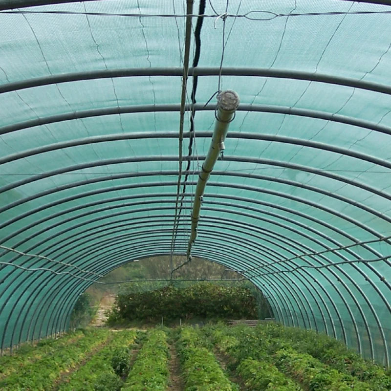 Echantillon gratuit Filet brise vent - 20x10cm