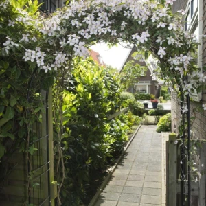 Pergola arche en acier  H229 x 113 x 38cm
