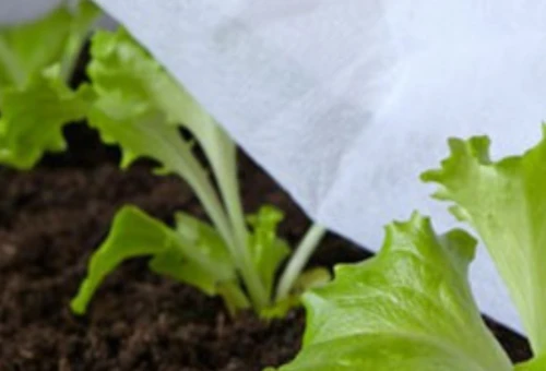 Slider voile forcage