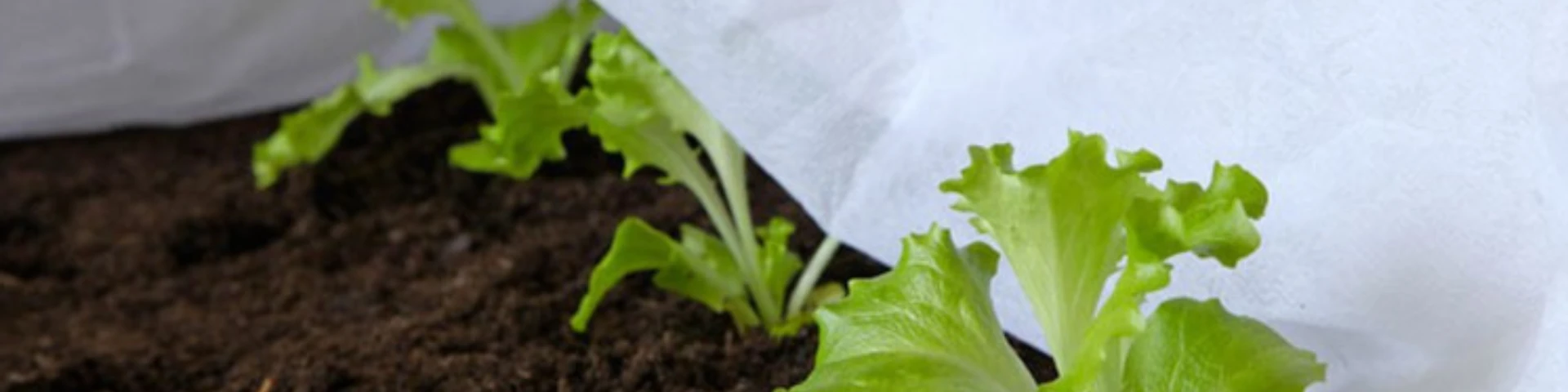 Slider voile forcage