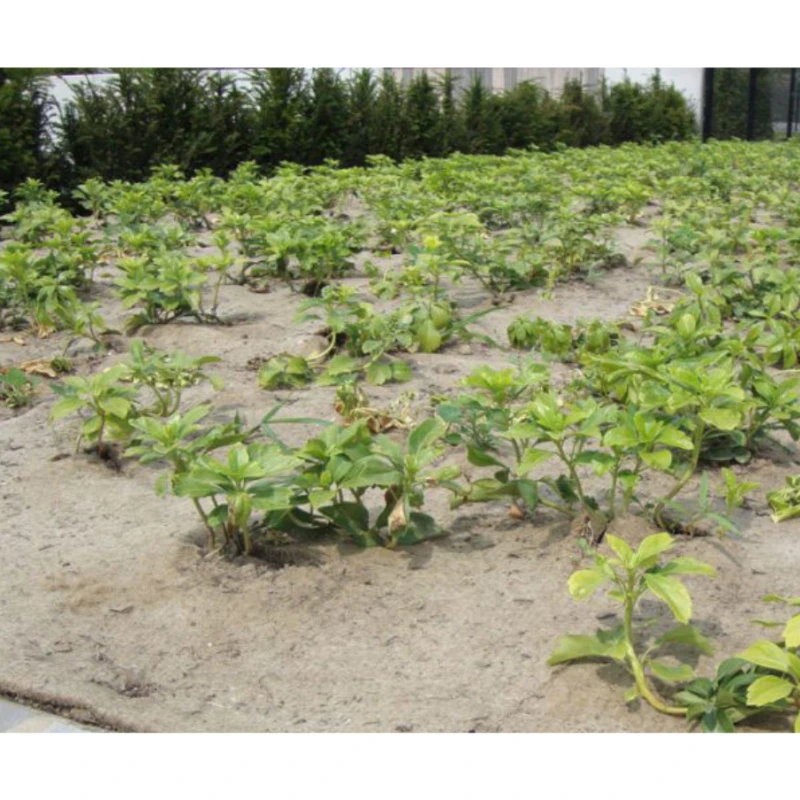 Toile de paillage bio Jute/Sisal - 1000gr/m² - 25m