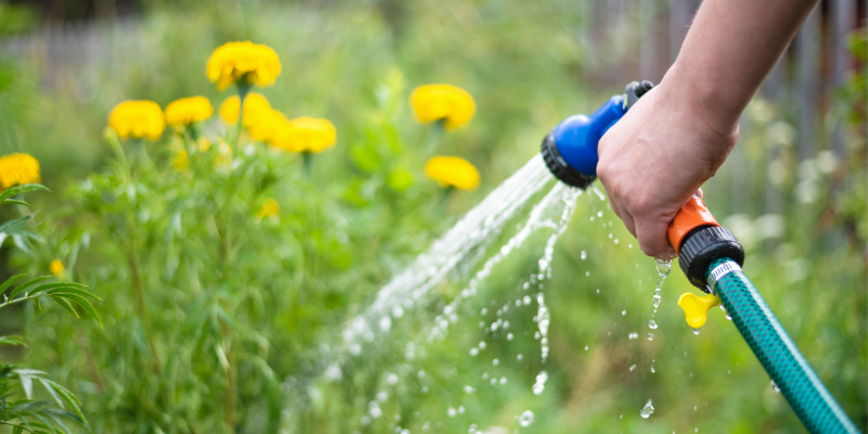 Les différents systèmes d’arrosage