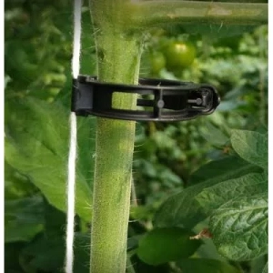 Clip pour tomates Noir- Ø 21mm