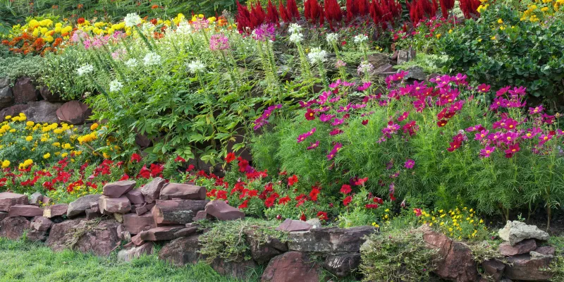 Quelles couleurs utiliser dans votre jardin ?