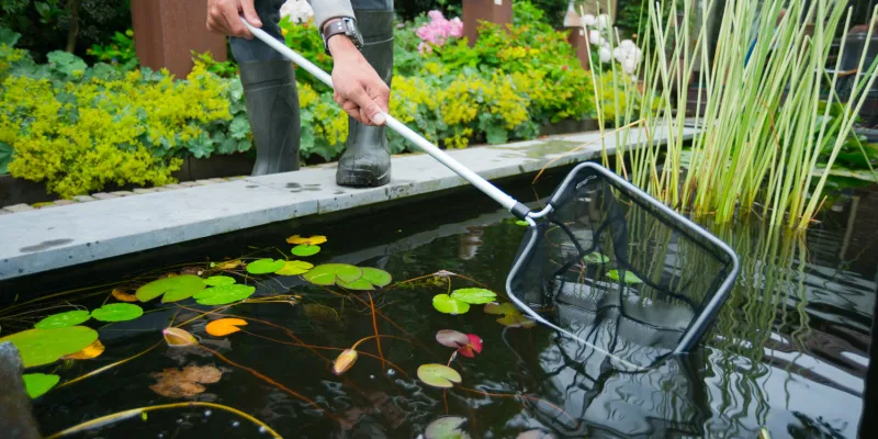Comment entretenir votre bassin ?