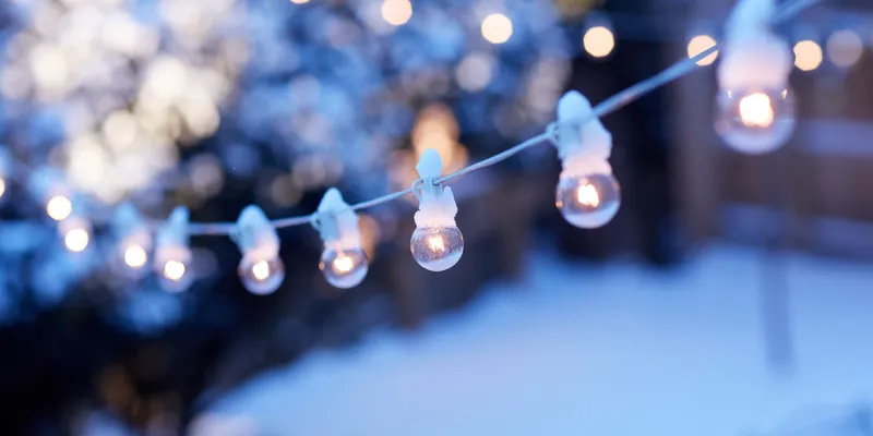 Protéger son jardin du gel