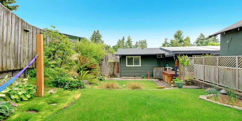 Comment entretenir votre gazon ?