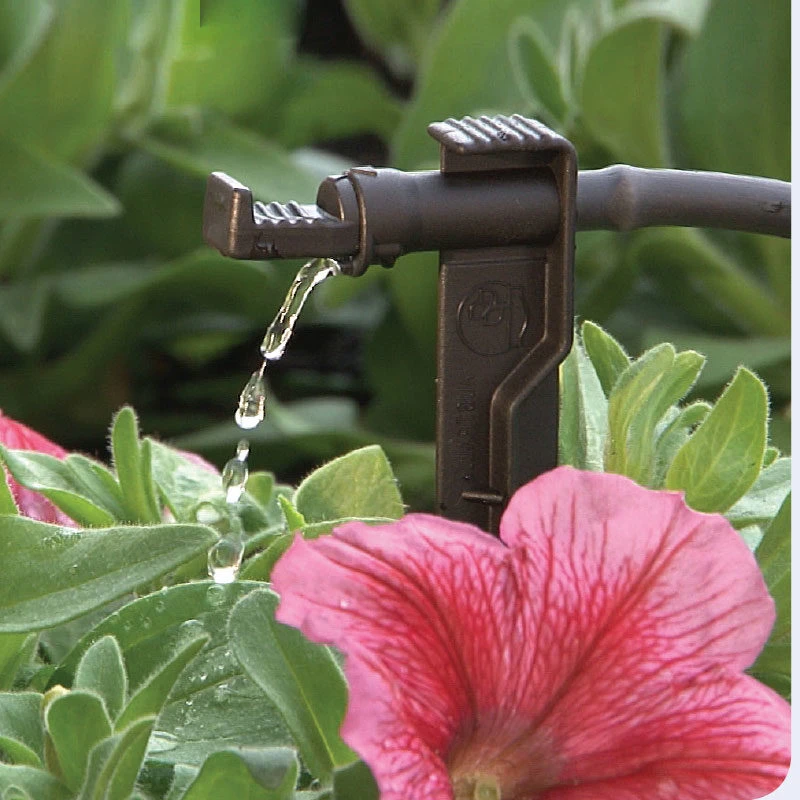 Micro asperseur Midi Drip sur pique - Antelco