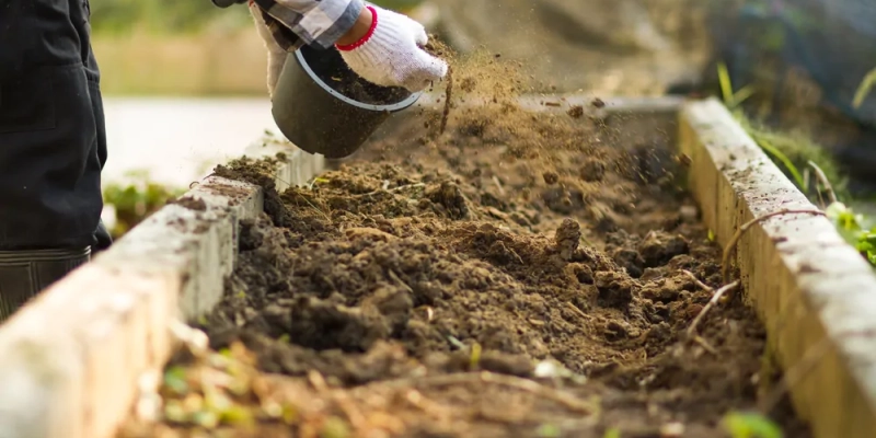 Enrichir la terre de son jardin