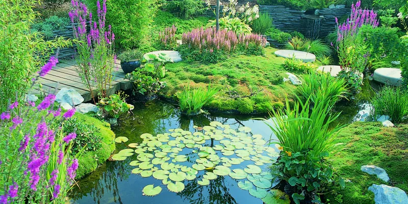 Le printemps du bassin