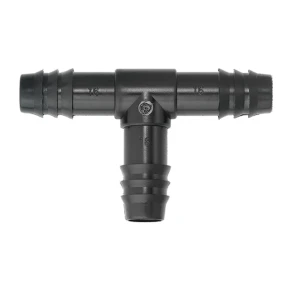 Té cannelé - Tavlit