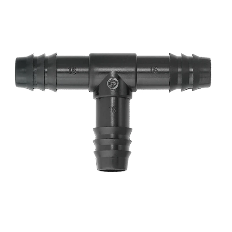 Té cannelé - Tavlit