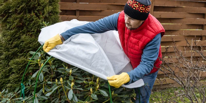 Quand installer un voile d’hivernage ?