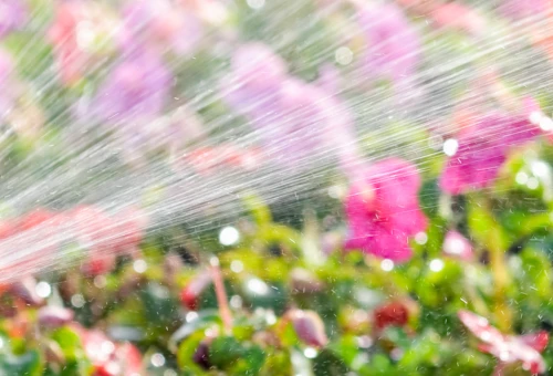 Bandeau Slider arrosage enterré