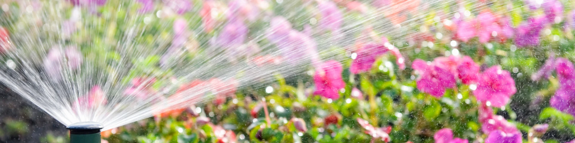 Bandeau Slider arrosage enterré