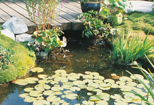 Bandeau Slider Bassin