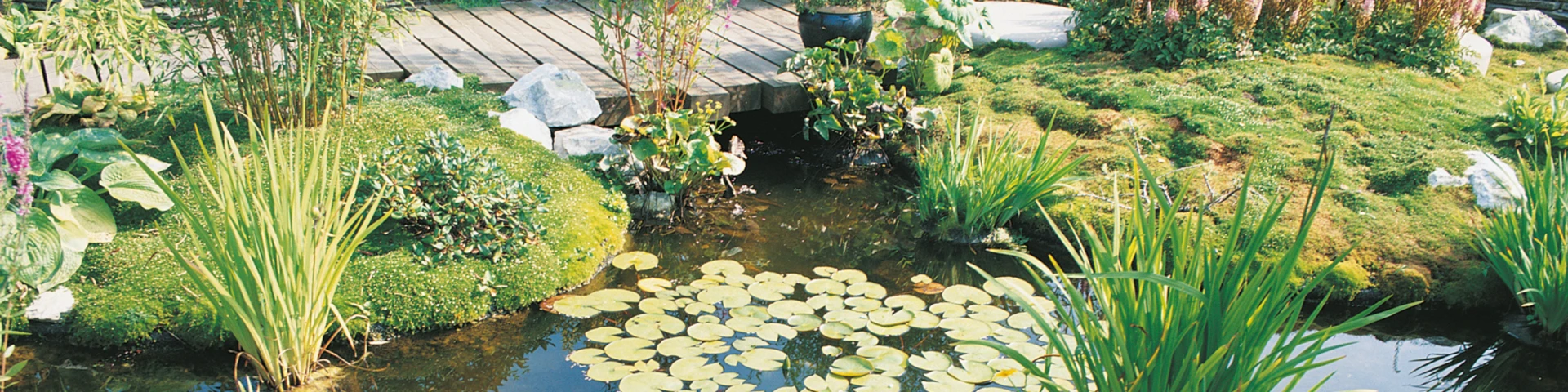 Bandeau Slider Bassin