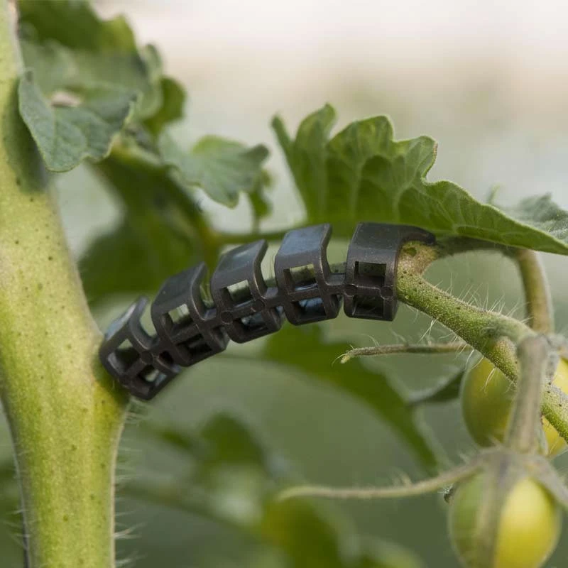 Renfort de tige pour tomates PP recyclé Noir- 6mm