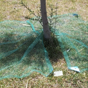 Filet de récolte - Nappe semi-fendue - 50gr/m²