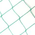 Filet anti-oiseaux vert 25gr/m² - Maille 13x13mm - Rouleau de 50m