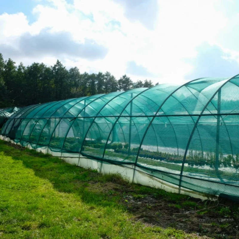 Filet d'ombrage pour serre/tunnel Alphaombre 56% - Rouleau de 100m
