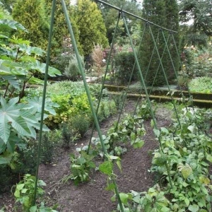 Kit tuteur portique en V inversé en acier plastifié cranté