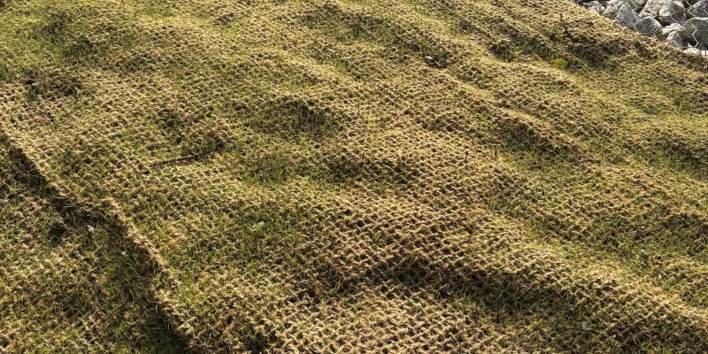 Filets anti-érosion : solution naturelle pour stabiliser les sols
