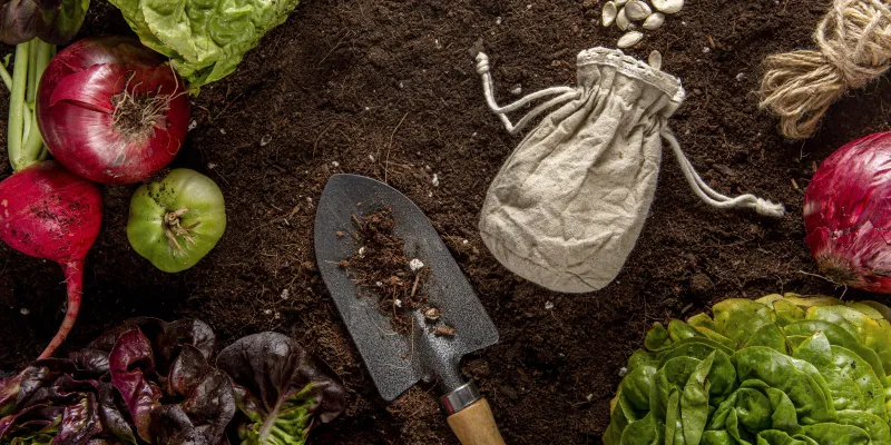 Mai au potager