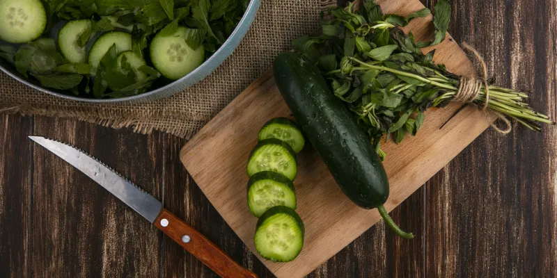 Tout savoir sur le concombre