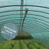Filet brise vent 42% - 100gr/m² - Destockage coupes