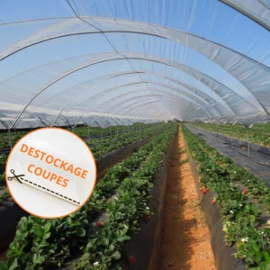 Film de serre Professionnel Super Cristal 200µ - Destockage coupes