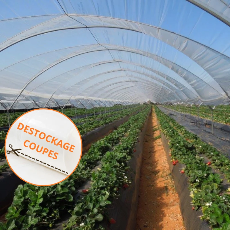 Film de serre Professionnel Super Cristal 200µ - Destockage coupes