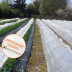 Film mini-tunnel diffusant 80µ - Largeur 2,20m - Destockage coupes