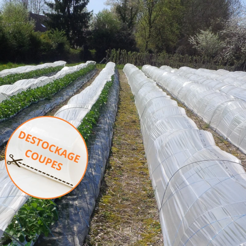 Film mini-tunnel diffusant 80µ - Largeur 2,20m - Destockage coupes